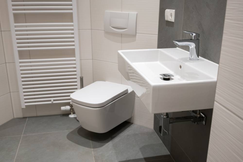 Remond-Fabien-Ain-01-sanitaire